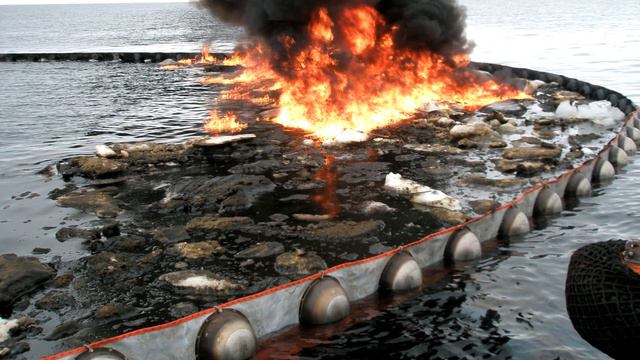 Микроорганизмы расщепляющие нефть