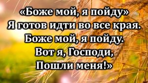 Нивы побелели | Источник хвалы № 219 | Караоке плюс | Христианские песни | Гимны надежды
