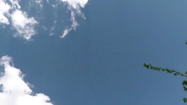 Голуби. Гоняем молодежь в сильный ветер смотреть онлайн