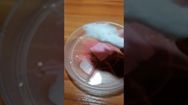 Хороший способ размножения мандаринового дерева ? смотреть онлайн