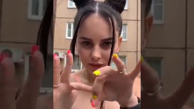Тупорылый