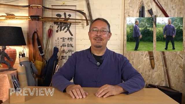 IMHO about Zhan Zhuang Basics - Preview смотреть онлайн