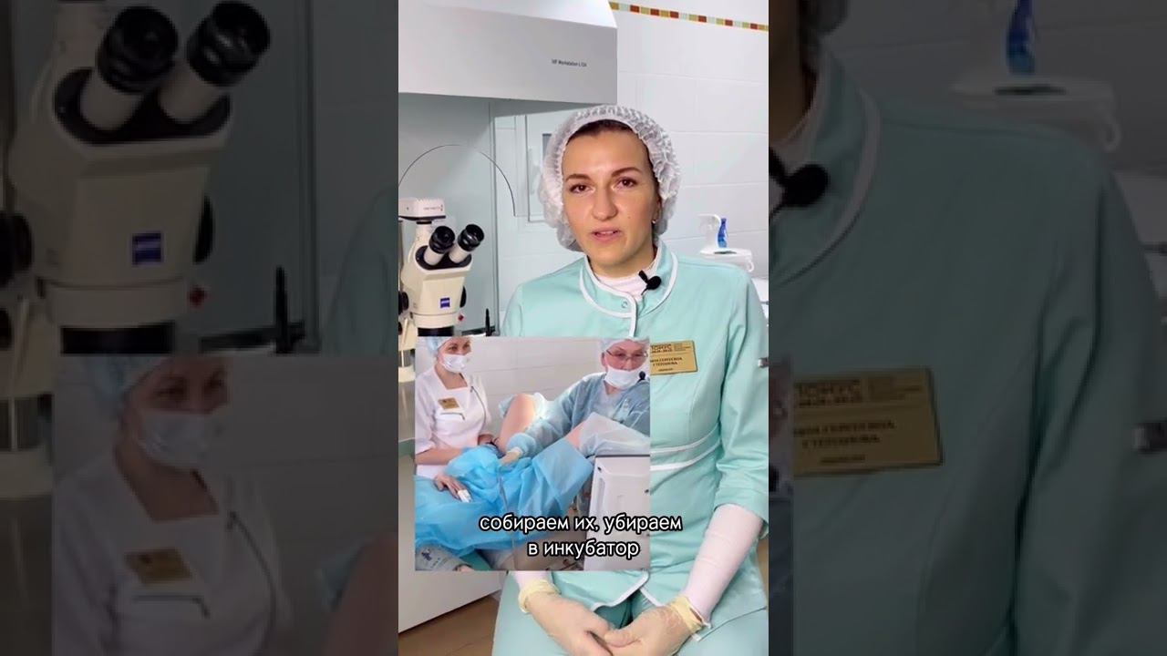 Оплодотворение смотреть онлайн