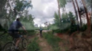 Крестьянка 2016 v3