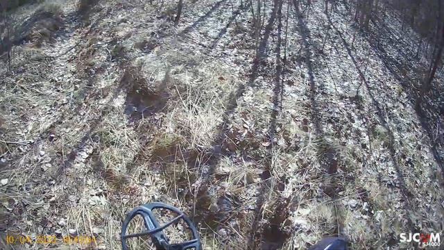 Поиск монет с NOKTA THE LEGEND с большой катушкой LG35 смотреть онлайн