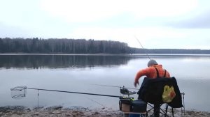 Фидер в ноябре