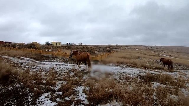 Где в Крыму ЛУЧШЕ жить? ЮБК против СИМФЕРОПОЛЯ. Крым зимой
