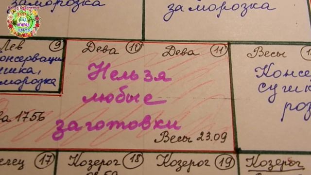 Календарь - агрогороскоп заготовок на зиму в августе 2021 года смотреть онлайн