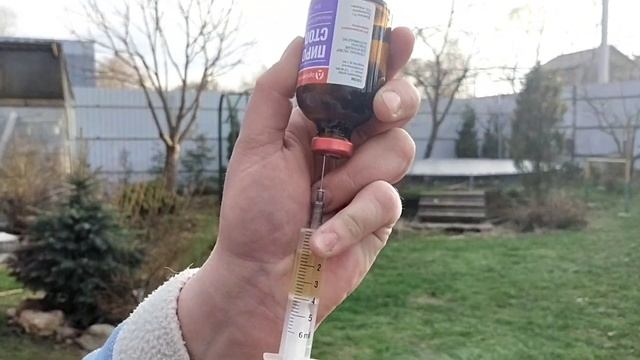 Препарат от пироплазмоза для собак смотреть онлайн