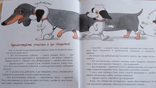 Умная собачка Соня. Здравствуйте, спасибо и до свидания! смотреть онлайн