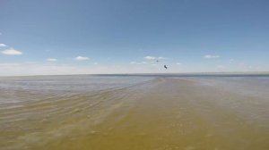 Топольное 01 06 2017