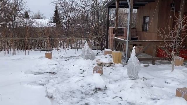 Как мы быстро и просто утепляем деревья? Что я держу за пазухой? Нужен только скотч! смотреть онлайн