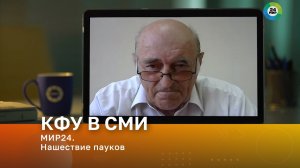МИР24. Нашествие пауков. Регионы России и Казахстана оккупировали каракурты