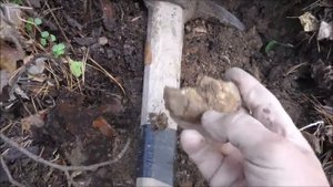 ПРОДОЛЖЕНИЕ В ЮЖАКОВО НА КОПИ GEMS