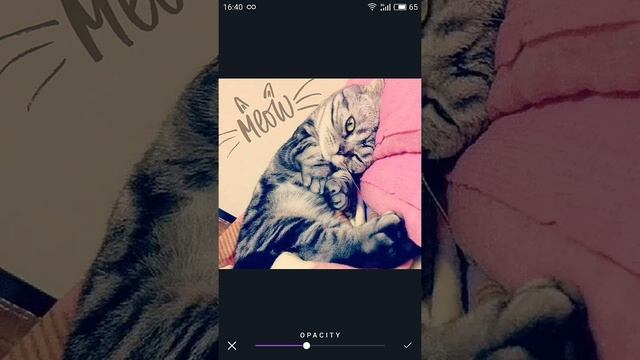 AppForType - добавь текст на фото смотреть онлайн
