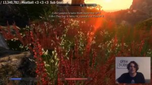 Enderal Skyrim Mod: A Stream by Brad Prichard