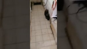 Яма для сходразвала траверса Nordberg 423A и задние Сдвижные платформы от Азбука Автосервиса