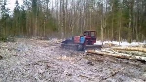 ТДТ-55 трилевка леса- зимний сезон