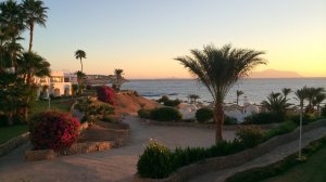 Малыш-итальянец отжигает