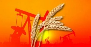 Станет ли пшеница "новой нефтью", или как мир "подсаживается" на российские сельхозпродукты.
