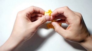 Ящерица подвижная желтая