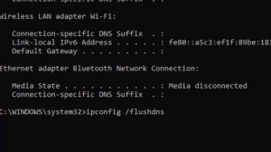 Fix Error Code 10005 in EA Desktop