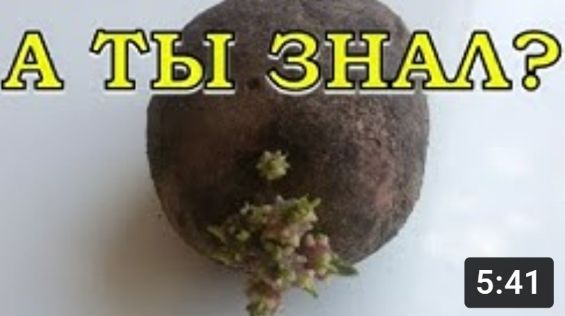 КАРТОФЕЛЬ. Проращивание перед посадкой