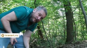 Выращивание червей в домашних условиях. Делимся секретами как мы разводим червей. ТРАВАРТ 2704