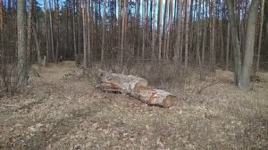 Гимн здоровью Владимир Маяковский