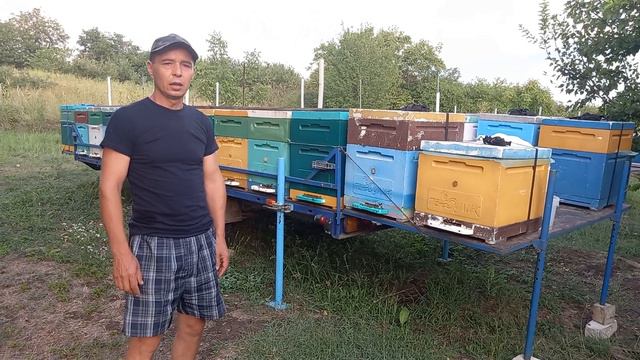 Обзор прицепов для перевозки пчел смотреть онлайн