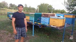 Обзор прицепов для перевозки пчел