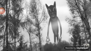 Песня про мультяшного кота