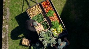 HiPP Organic UK Big On The Little Things - Foods film