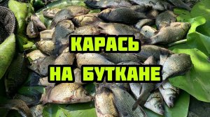 ЛОВЛЯ КАРАСЯ НА ПОПЛАВОЧНУЮ УДОЧКУ