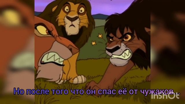 История Амары #львы #tama TV 7#lion #корольлев#лев#lionking #story #истории#tama #правление  Нкоси# смотреть онлайн
