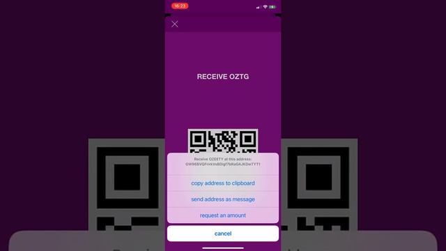 iOS Blockchain Wallet App 2