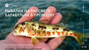 БАРАБУЛЬКА на рассвете в проводку. АНАПА. Центральный пляж. #anapa #fishing #рыбалка.
