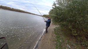 Помогли хорошим людям достать дикого сазана на Дону. Рыбалка в Волгоградской области в сильный вете