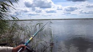 Рыбалка на озере Большой Куртал, Тюменская область