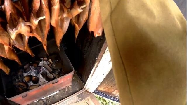 БАЛЫЧОК ИЗ СОМА!!ХОЛОДНОЕ КОПЧЕНИЕ РЫБЫ!!