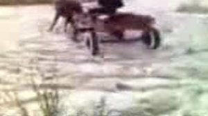 Дрифт на возе (Видео с твоей Нокии)