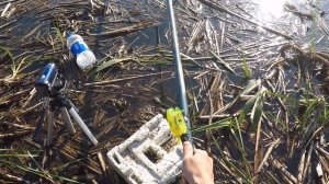 ЛОВЛЯ КАРАСЯ В КАМЫШЕ|ПОПЛАВОК КРУПНЫМ ПЛАНОМ.