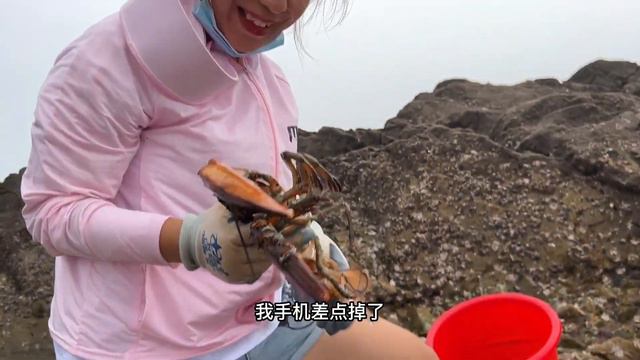 牛牛發現撞死的黑頭魚和大龍蝦，剛抓起就就開始掙扎，嚇壞了【牛牛趕海海鮮】