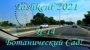 Ташкент 2021. Ц14-Ботанический сад.|Tashkent 2021. C14-Tashkent Botanical Garden. Зелёный город!!!