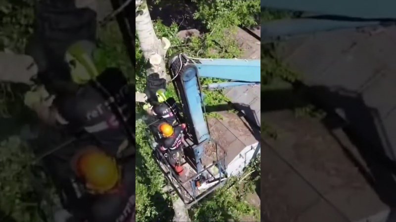 Удаление деревьев с вышкой