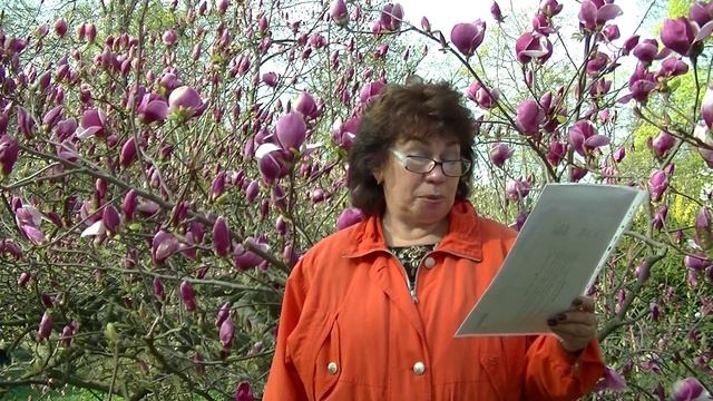 Сказка, Сто монет. Наталья Кучеренко.