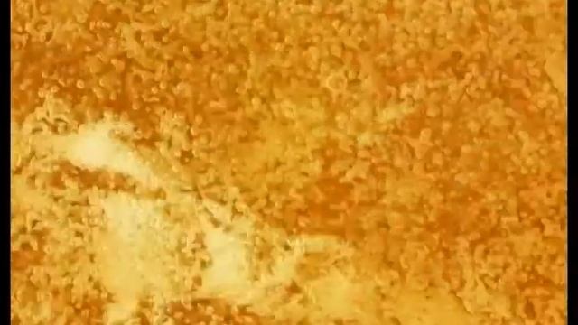 1 марта: Первый день весны
