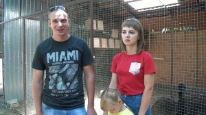 Страусы в домашних условиях.