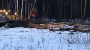 Гусеничный экскаватор Volvo 240 Харвестер валит деревья на делянке