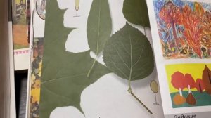 Изобразительное искусство/1 кл/Неменская/Мастер изображения учит видеть/19.02.22